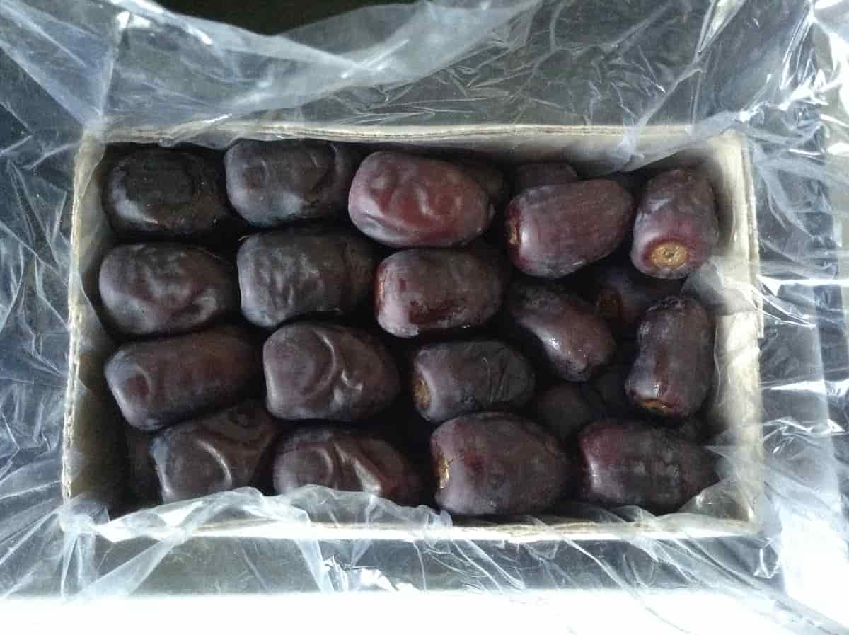 تصویر 3 از خرما مضافتی خشک با قابلیت نگهداری طولانی